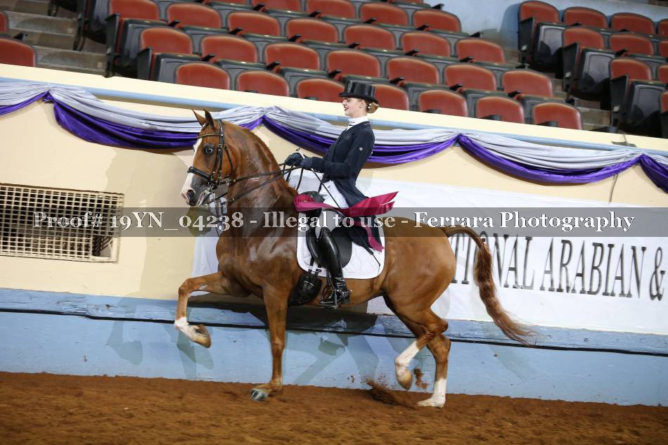 Proof 19YN_04238