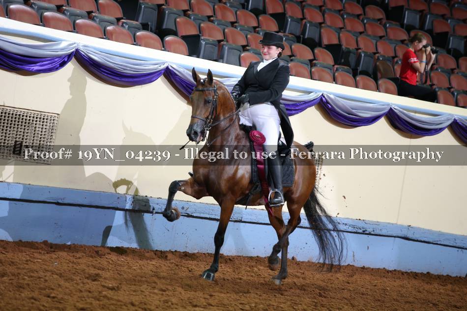 Proof 19YN_04239