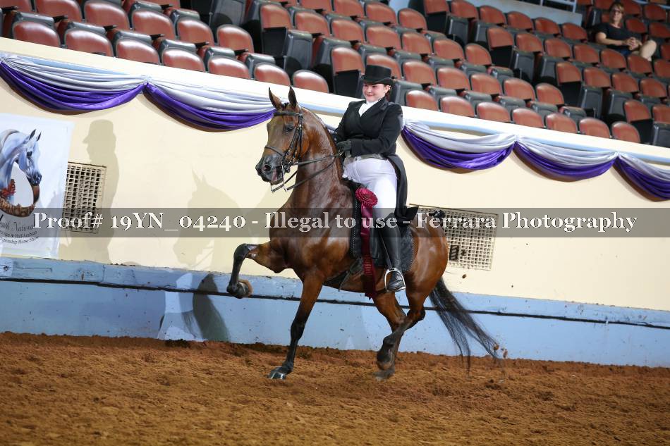 Proof 19YN_04240