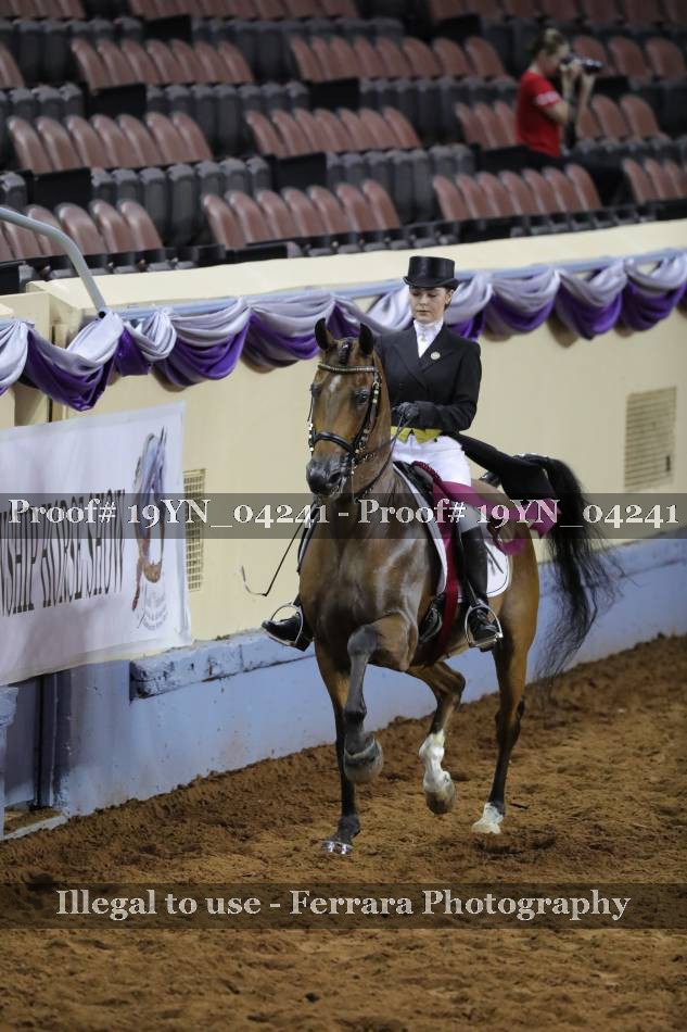 Proof 19YN_04241