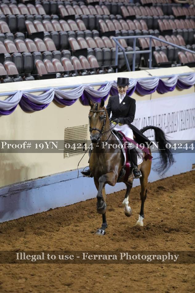 Proof 19YN_04244