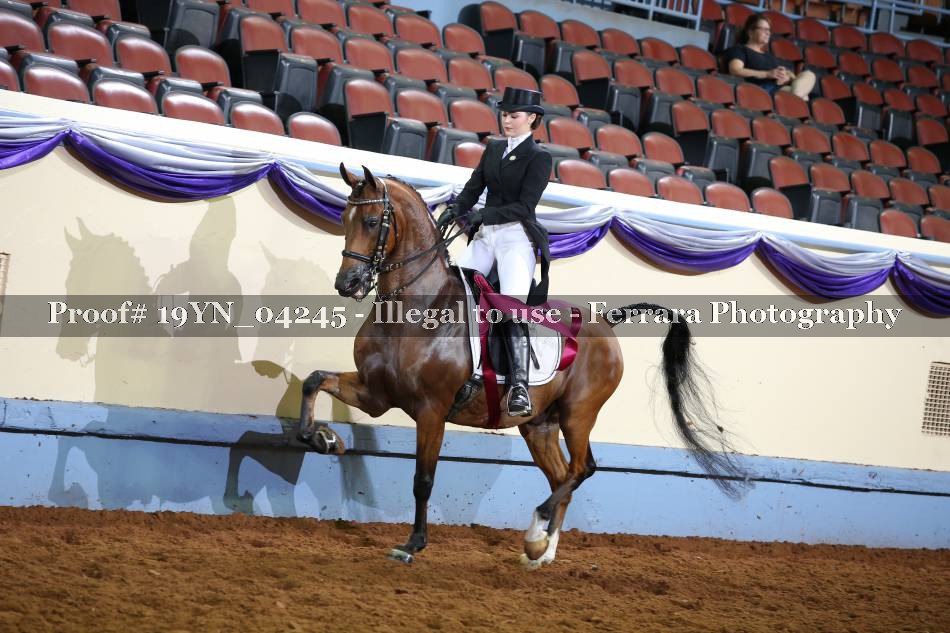Proof 19YN_04245