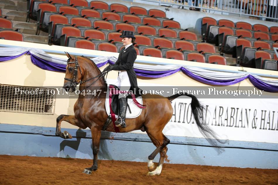 Proof 19YN_04247