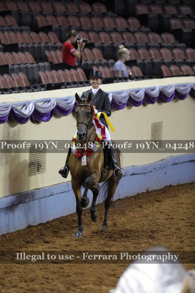 Proof 19YN_04248