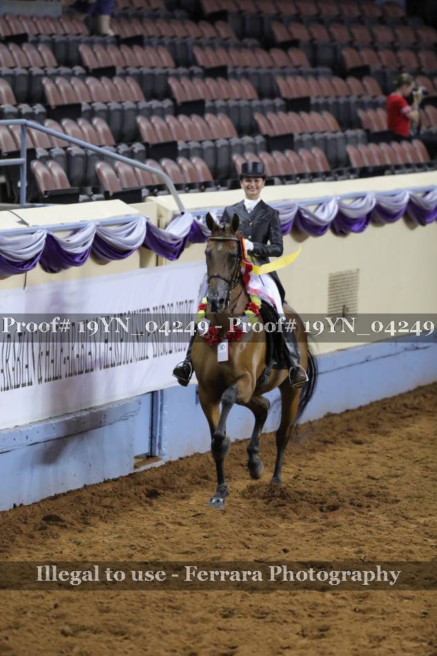 Proof 19YN_04249