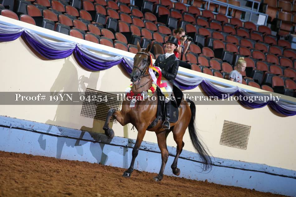 Proof 19YN_04254