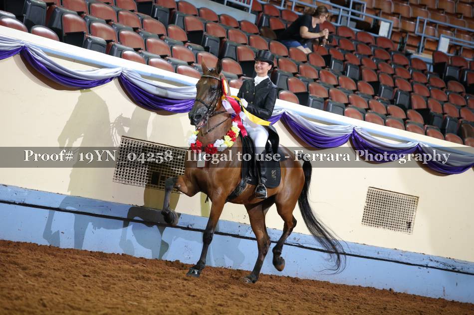 Proof 19YN_04258