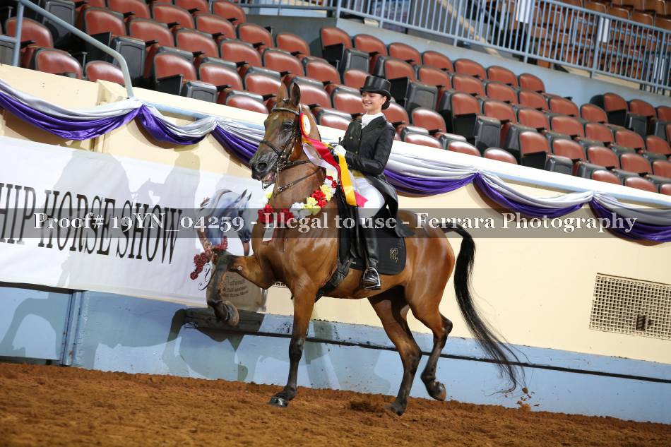 Proof 19YN_04259