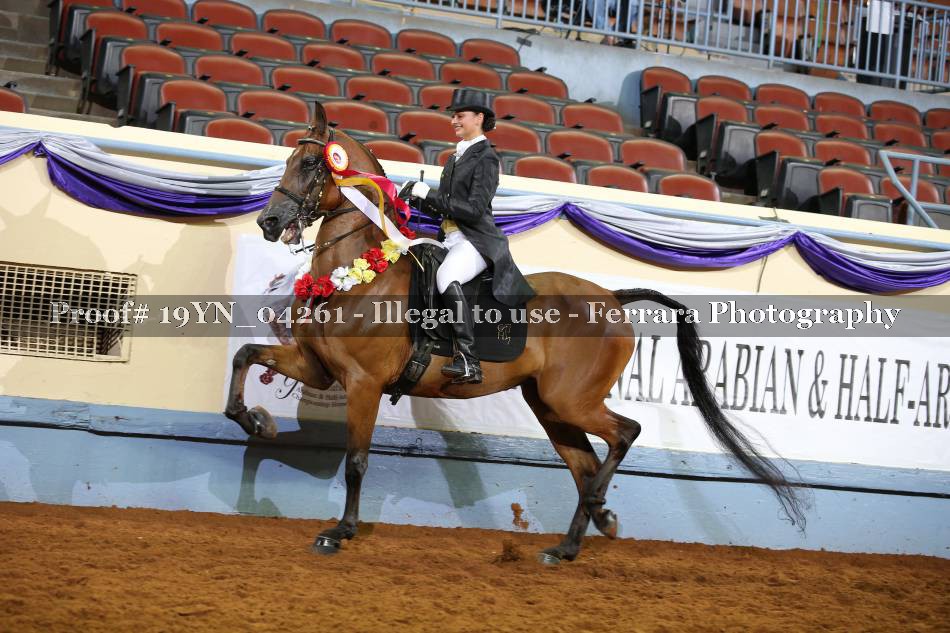 Proof 19YN_04261