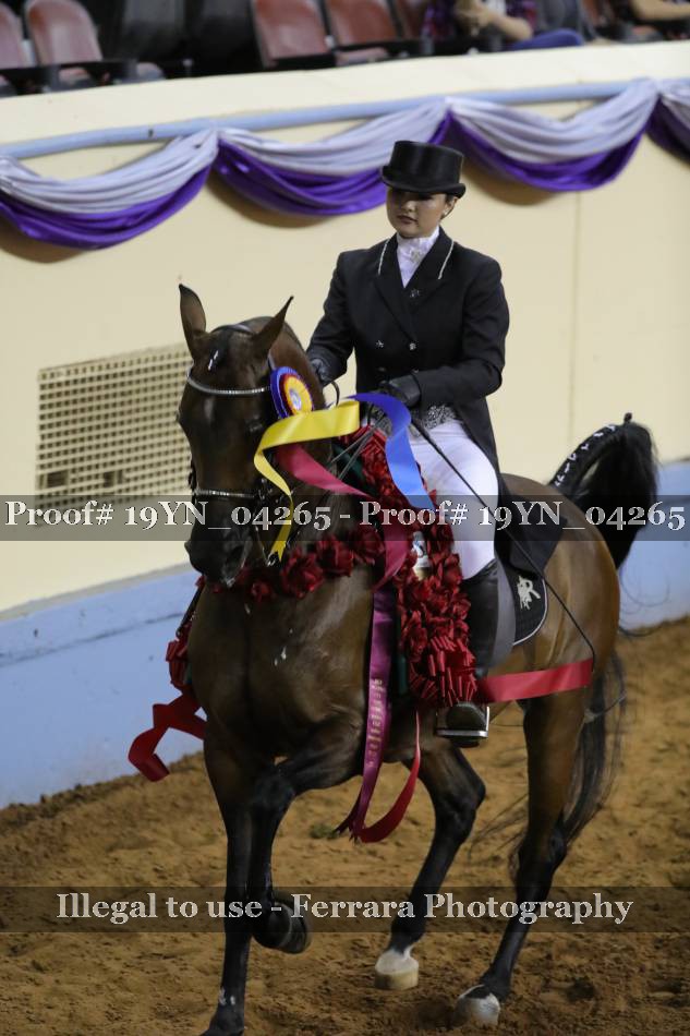 Proof 19YN_04265