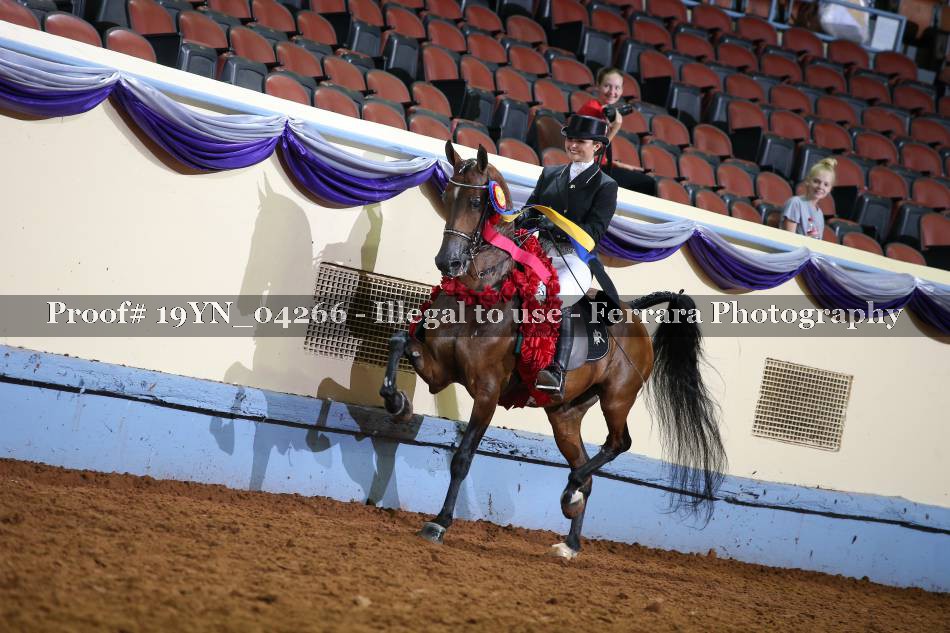 Proof 19YN_04266