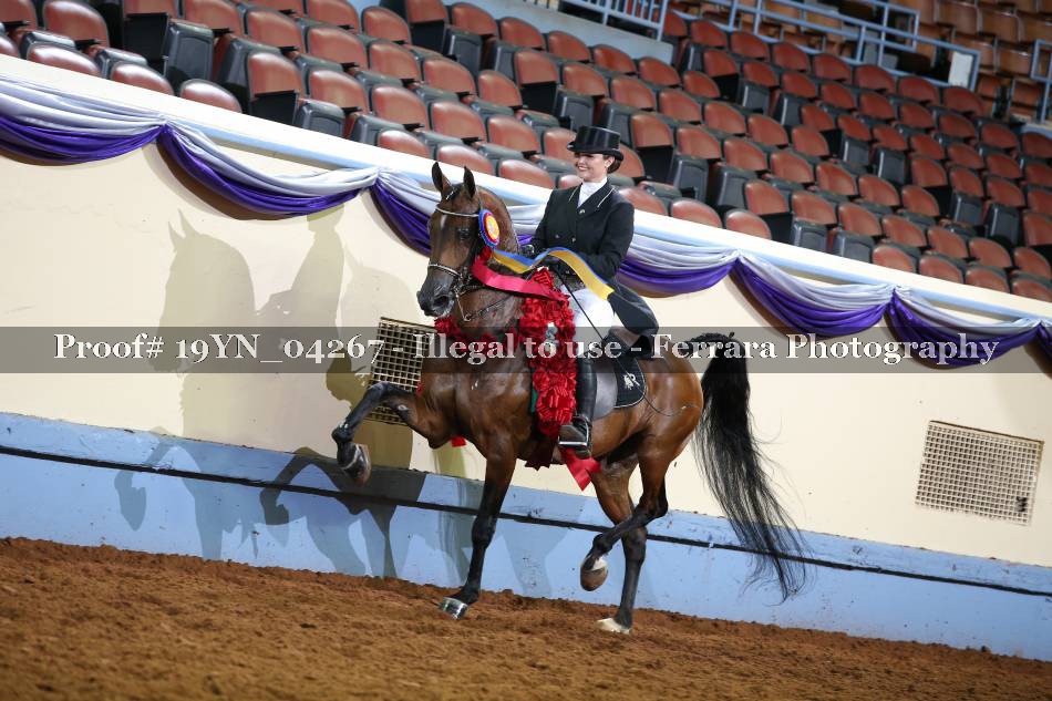 Proof 19YN_04267