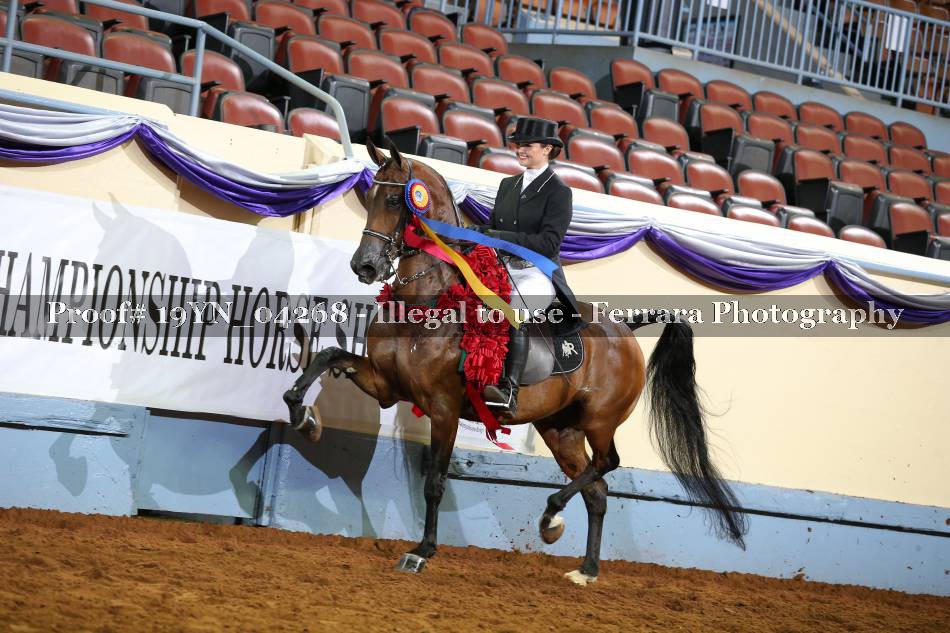 Proof 19YN_04268