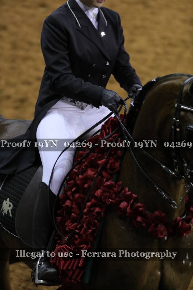 Proof 19YN_04269