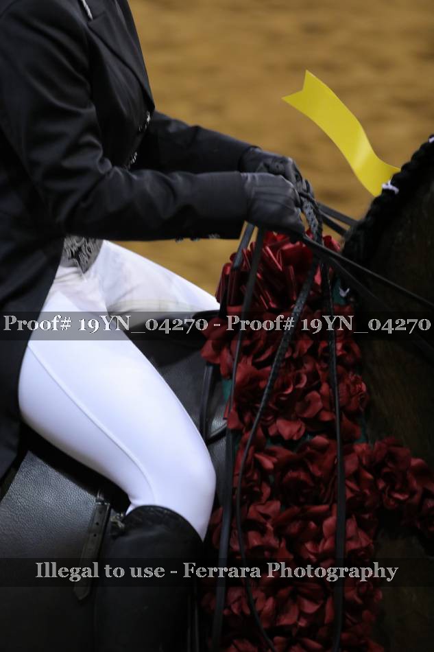 Proof 19YN_04270