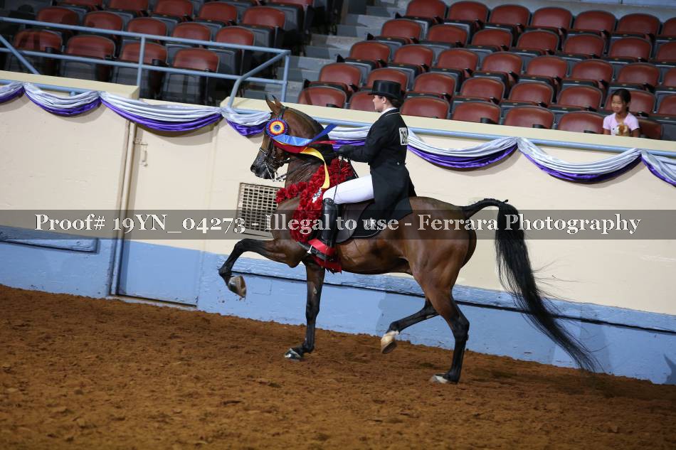 Proof 19YN_04273