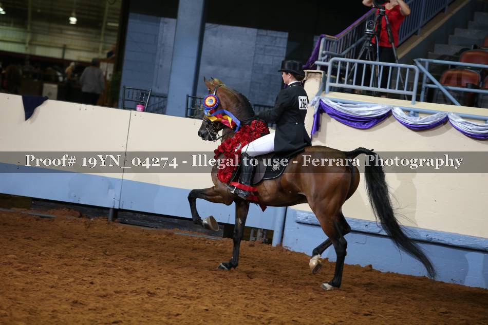 Proof 19YN_04274