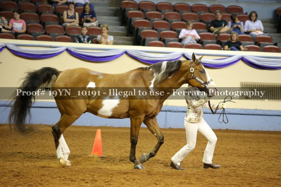 Proof 19YN_10191