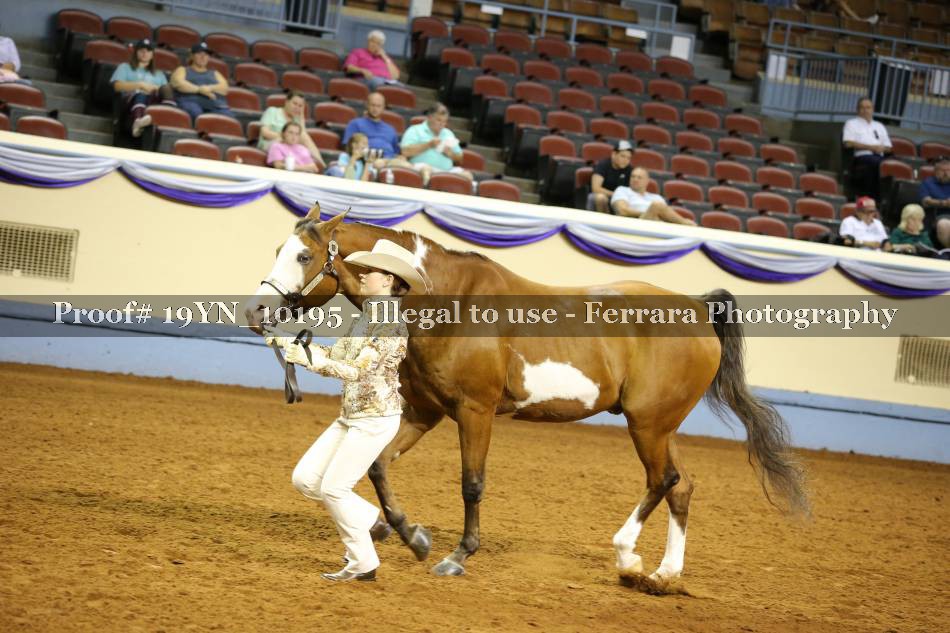 Proof 19YN_10195