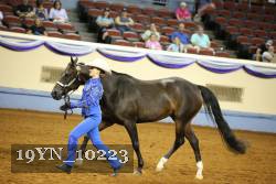 19YN_10223 proof
