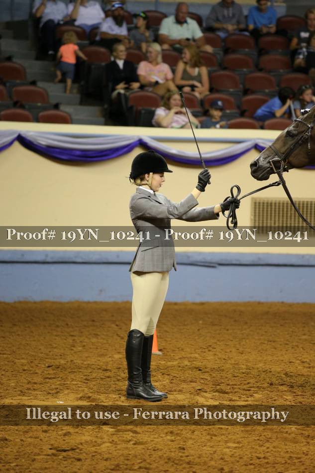 Proof 19YN_10241