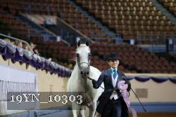 19YN_10303 proof