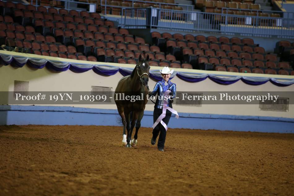 Proof 19YN_10309