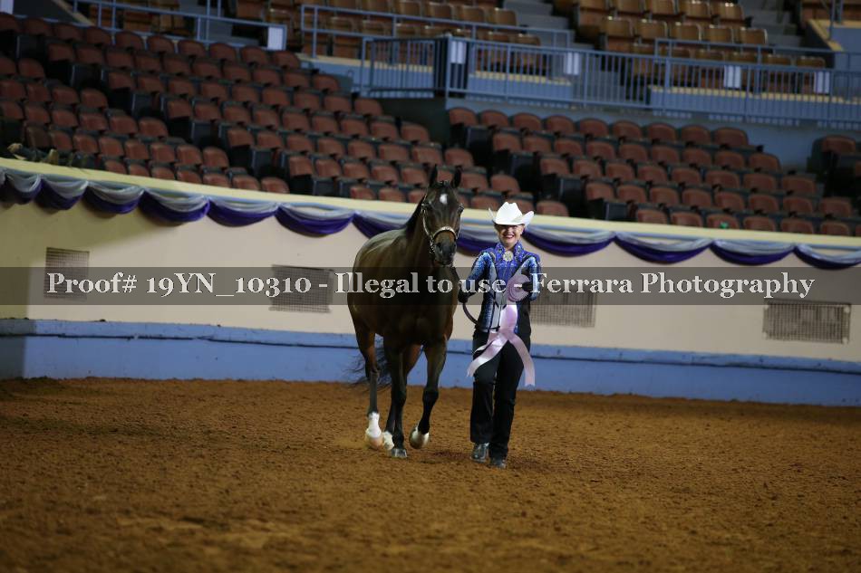 Proof 19YN_10310