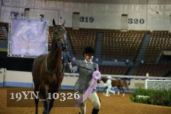 19YN_10326 proof