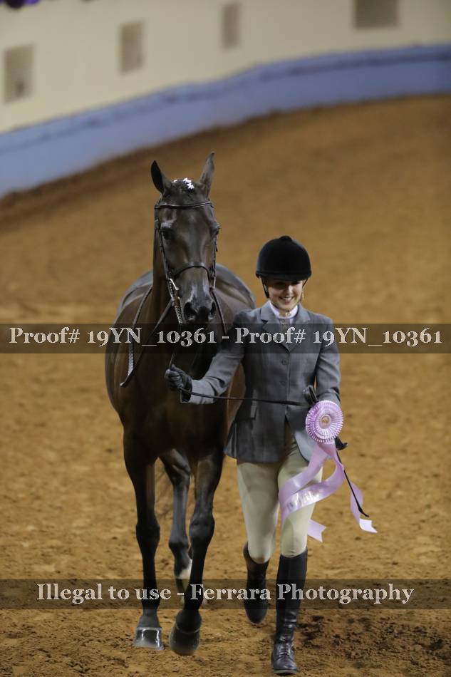 Proof 19YN_10361