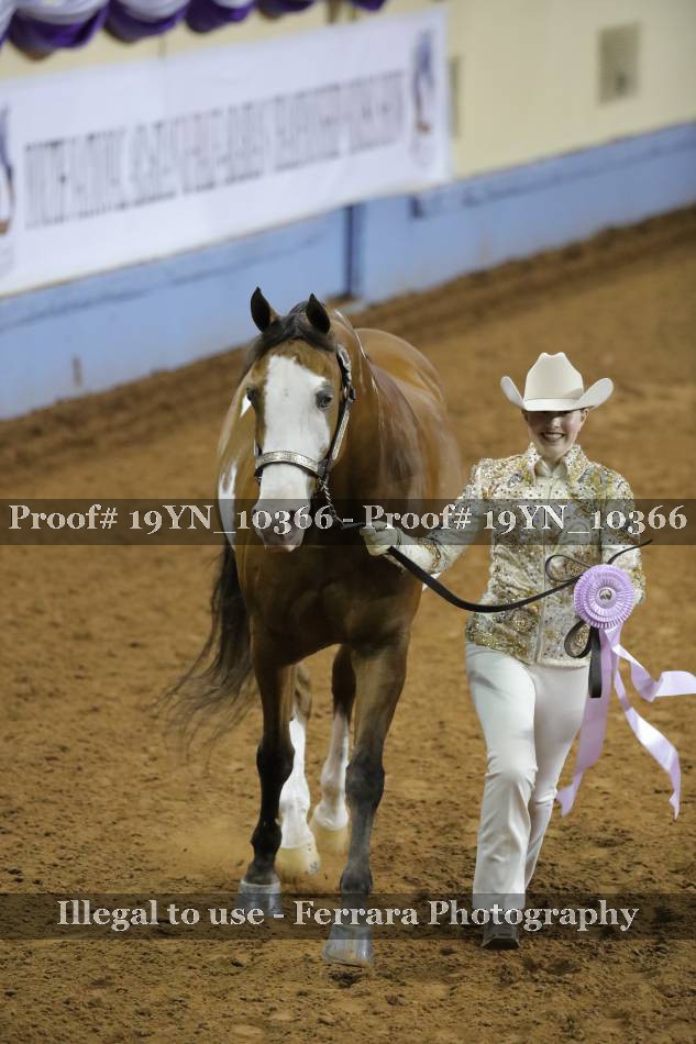 Proof 19YN_10366