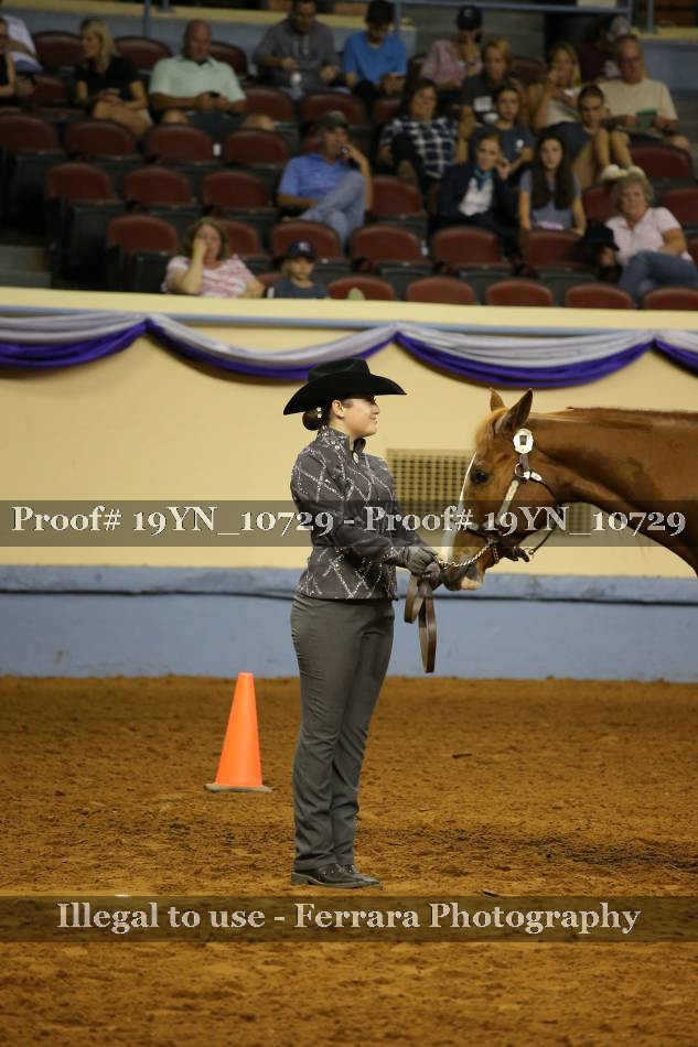 Proof 19YN_10729