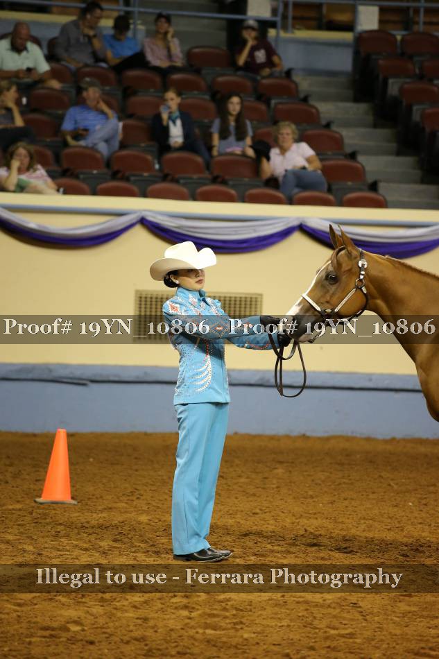 Proof 19YN_10806