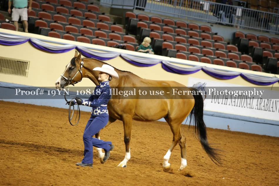 Proof 19YN_10818