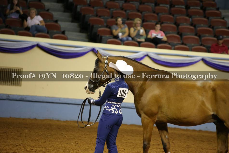 Proof 19YN_10820