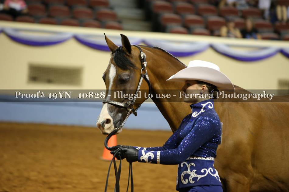 Proof 19YN_10828