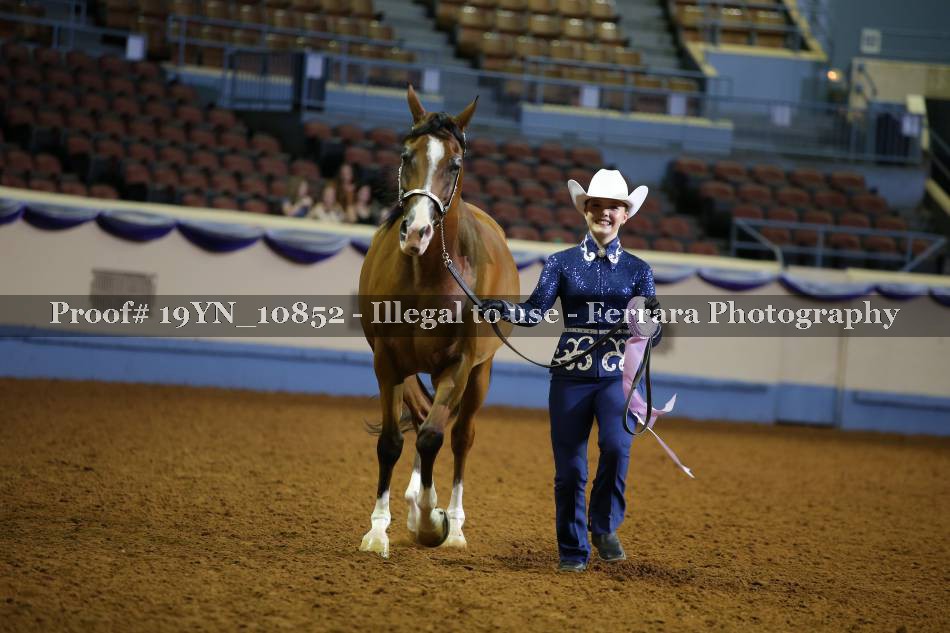 Proof 19YN_10852