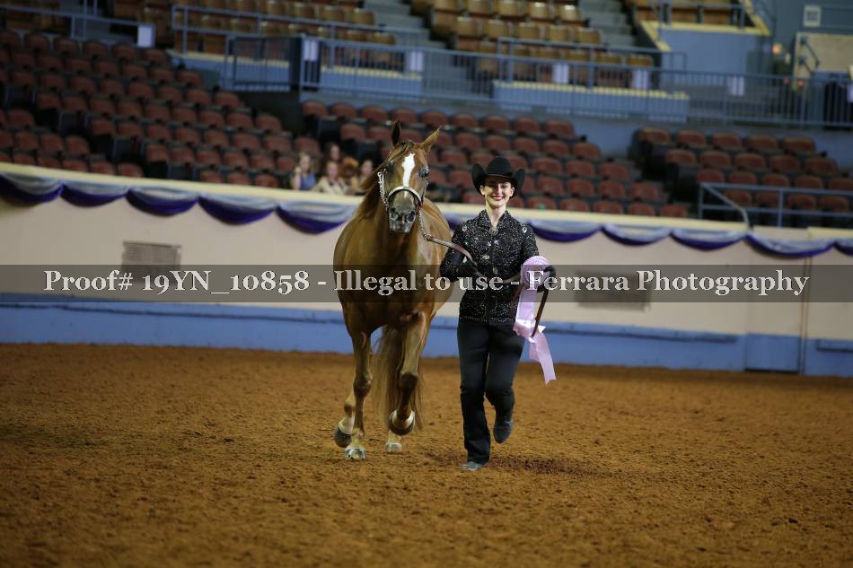 Proof 19YN_10858