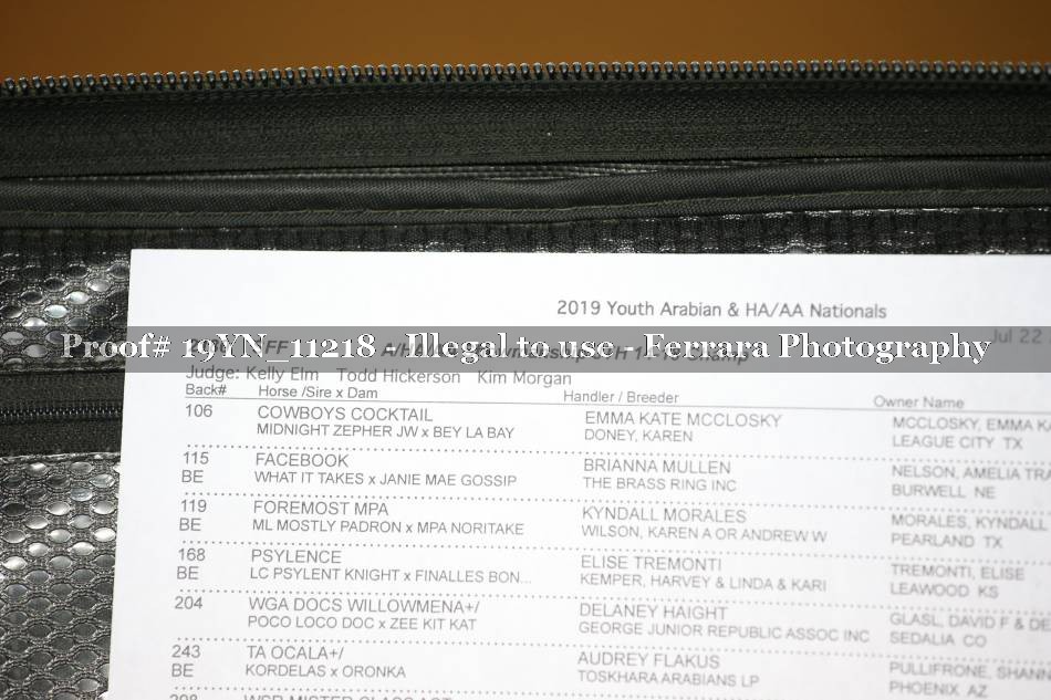 Proof 19YN_11218