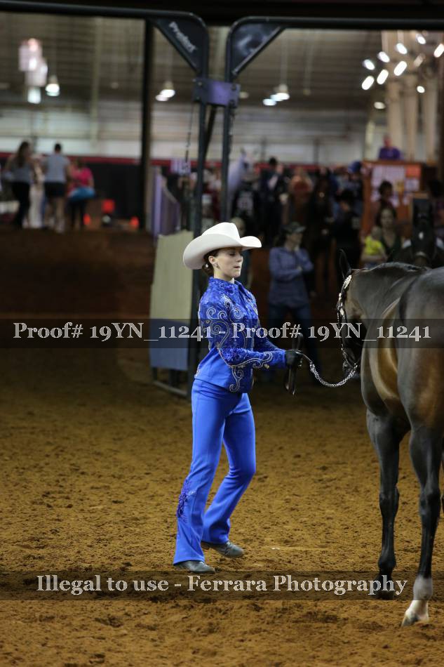 Proof 19YN_11241
