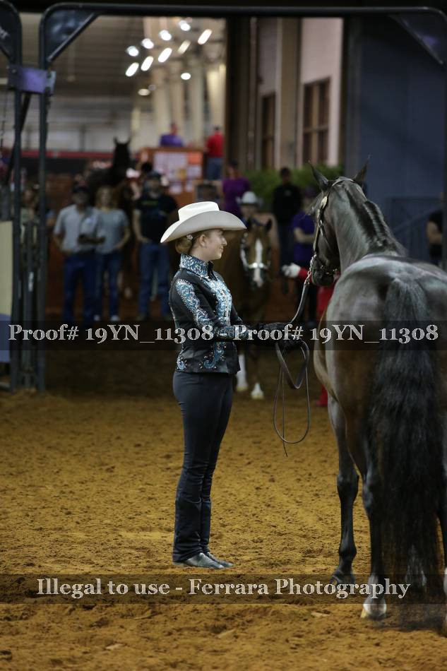 Proof 19YN_11308