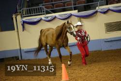 19YN_11315 proof