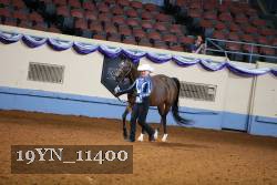19YN_11400 proof