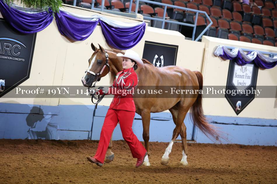Proof 19YN_11405