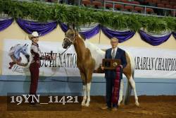 19YN_11421 proof