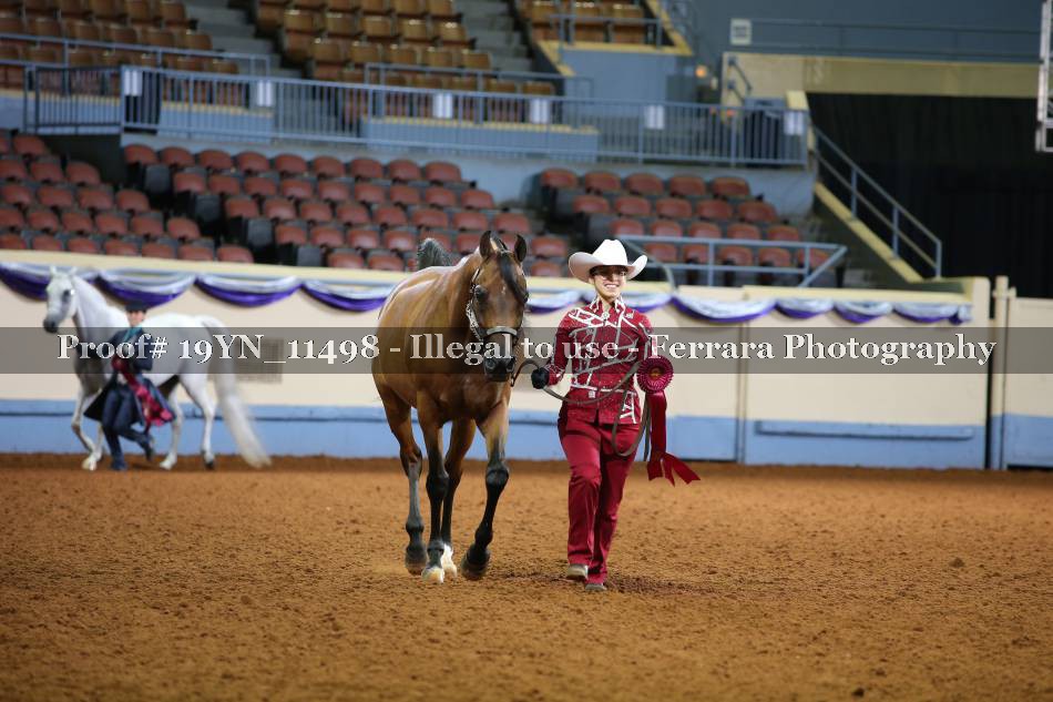 Proof 19YN_11498