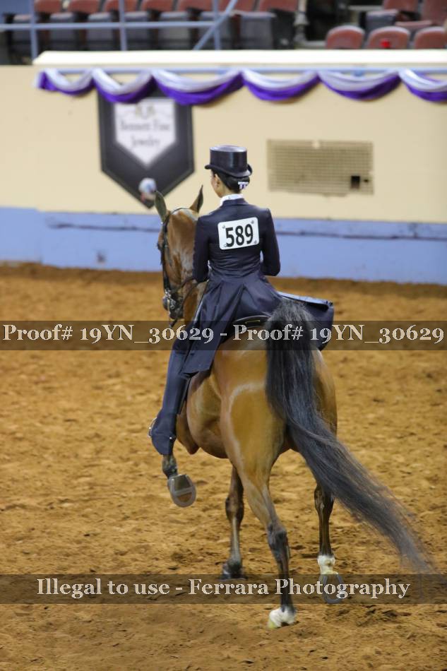 Proof 19YN_30629