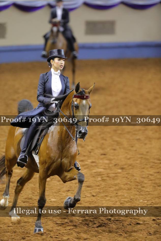 Proof 19YN_30649