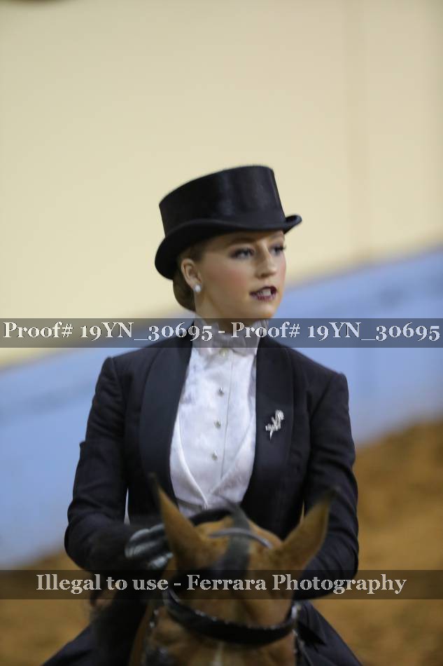 Proof 19YN_30695