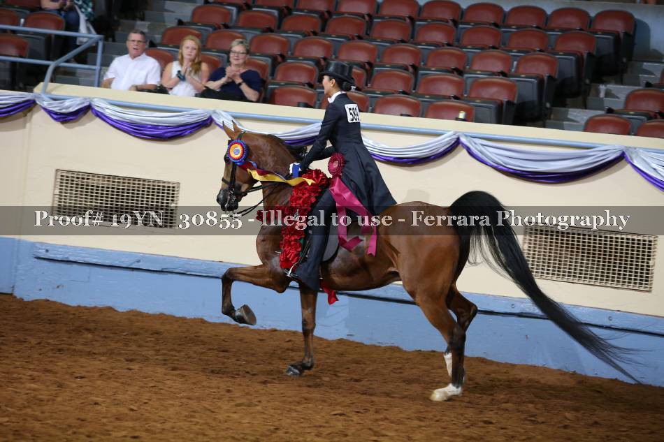Proof 19YN_30855